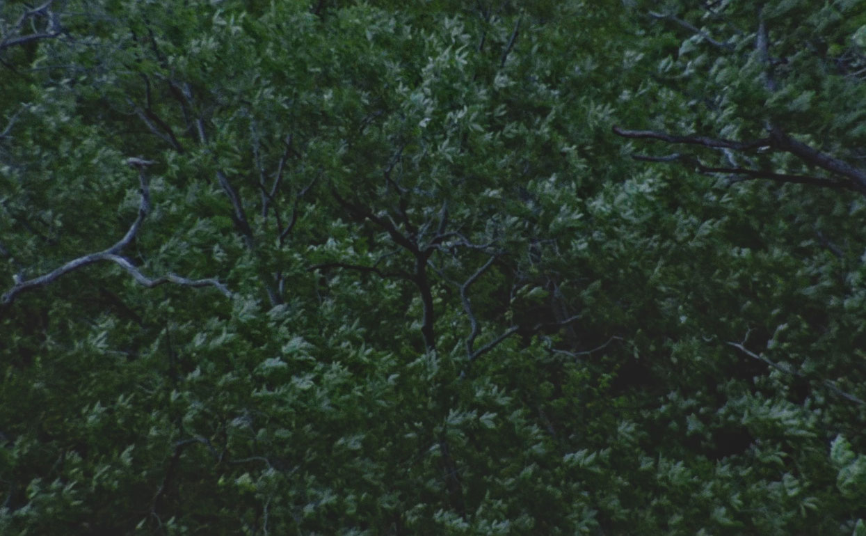 a-flicker-of-the-soul_Kohlberger_courtesy sixpackfilm_03