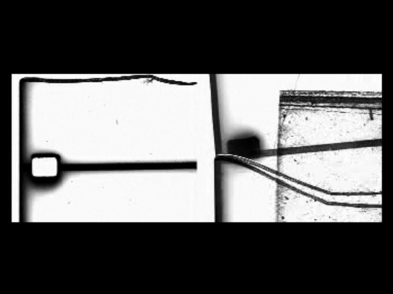 Structural Filmwaste. Dissolution 1