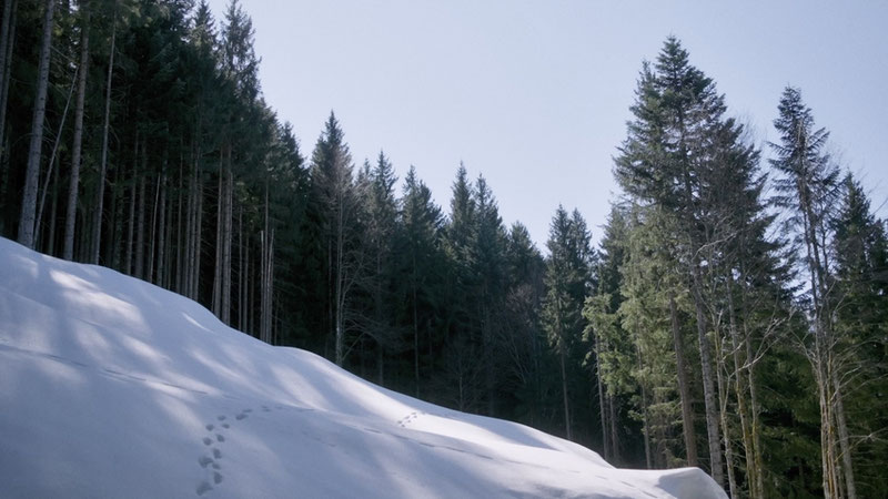 "Out of Sight" in Opus Bonum competition at Jihlava IDFF