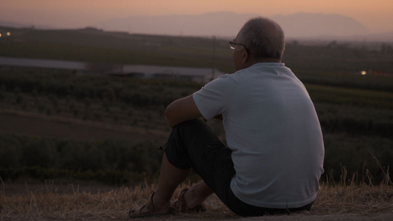 Baba, Ne Yapmayı Düşünüyorsun? / Baba, What's Your Plan?